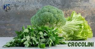 Crocolini: A Nutritious and Versatile Hybrid Green Vegetable
